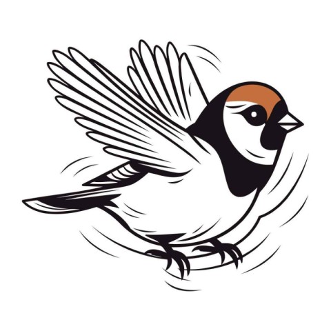 Vector illustration of a bullfinch in flight on white background